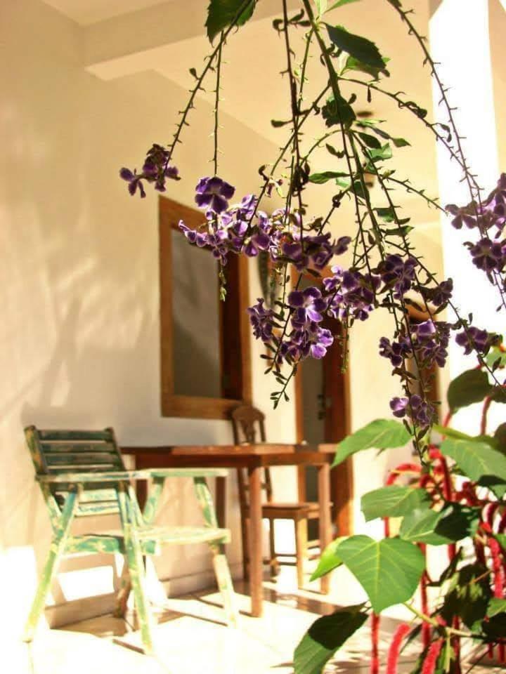 Pousada Villa Da Gama Paraty Room photo