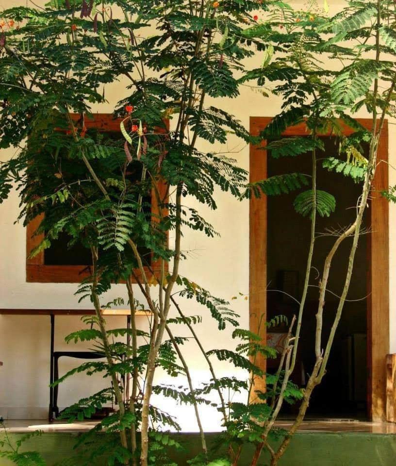 Pousada Villa Da Gama Paraty Room photo